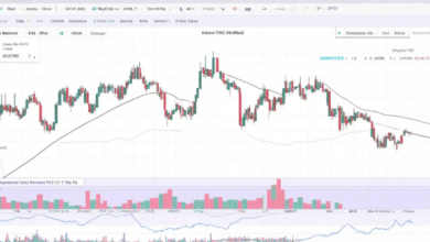 finnifty trading view