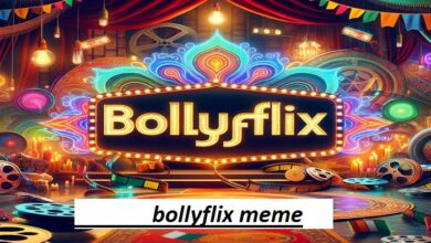 bollyflix meme