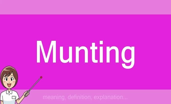 what is munting urban dictionary